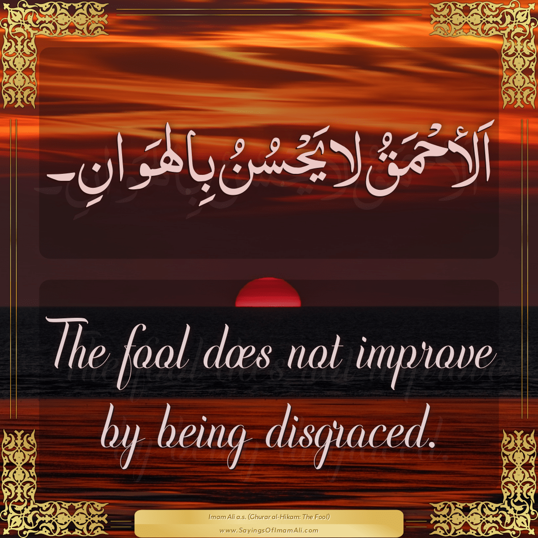 The fool does not improve by being disgraced.